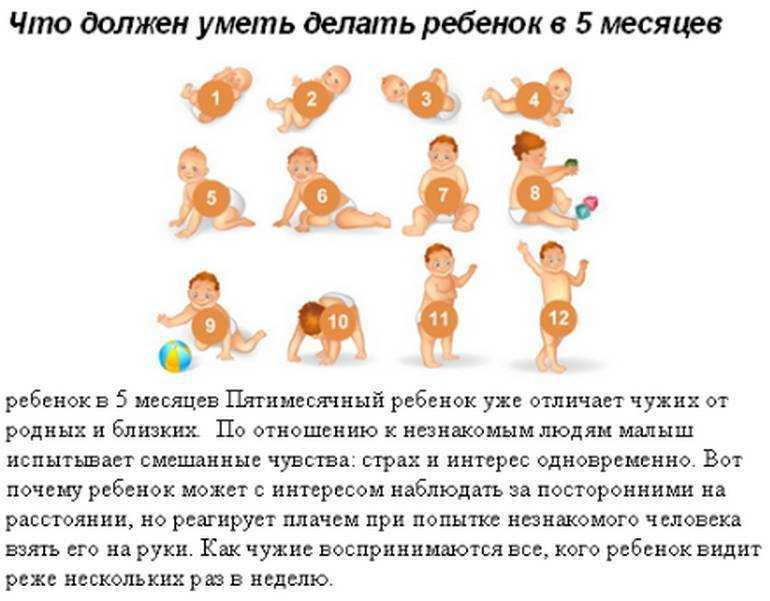 Ребенок в 11 месяцев (календарь развития)