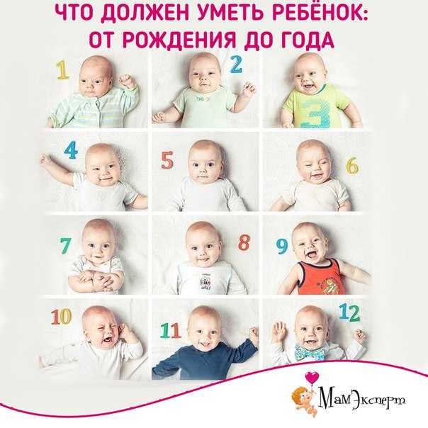 Развитие ребенка по месяцам – как должно происходить развитие малыша в первые месяцы жизни