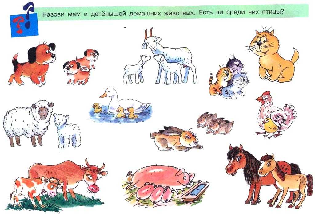 «домашние животные и их предки»cборник об образе жизни и происхождении домашних животных для детей старшего дошкольного возраста