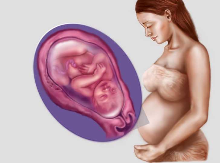 36-я неделя беременности: что происходит в организме, возможные проблемы