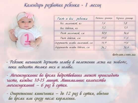 Календарь развития ребенка по месяцам