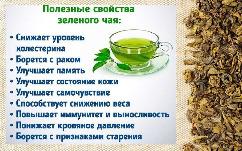 Зелёный чай сохраняет в своих листьях огромное количество витаминов Но можно ли его детям и с какого возраста Мы написали для вас ответы на наиболее часто задаваемые вопросы