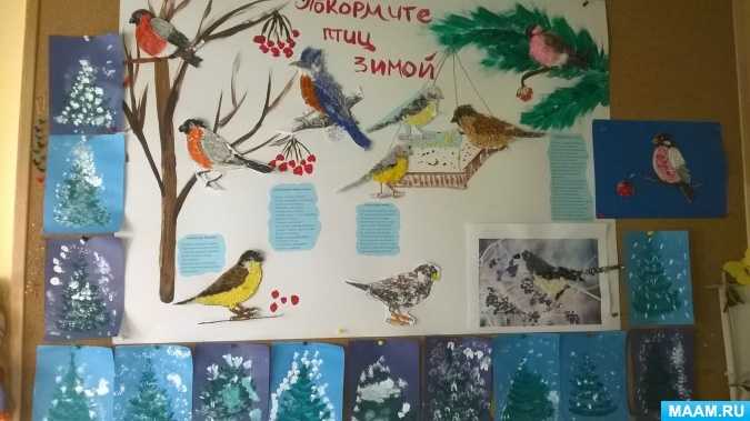 Конспект занятия в подготовительной группе на тему «зимующие птицы»