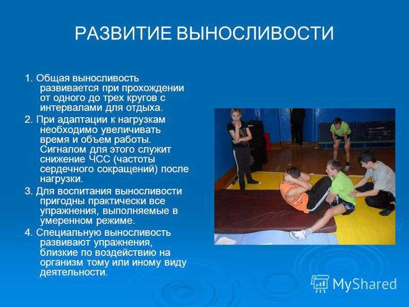 Какие игры и занятия развивают выносливость у школьников – 17 полезных занятий | rutelo.ru - как стать здоровее, красивее и моложе
