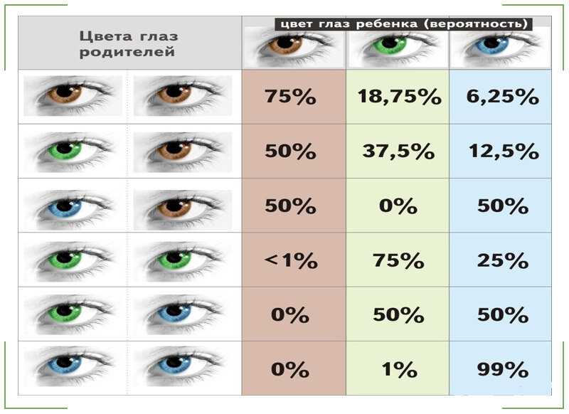 Какого цвета чаще всего глаза у новорожденных детей, поменяется ли их цвет Стоит разобраться, что влияет на окраску радужки, и какой цвет глаз будет у ребенка спустя время.