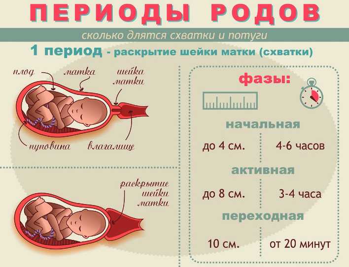Почему ребенок меньше шевелится в животе - детская городская поликлиника №1 г. магнитогорска