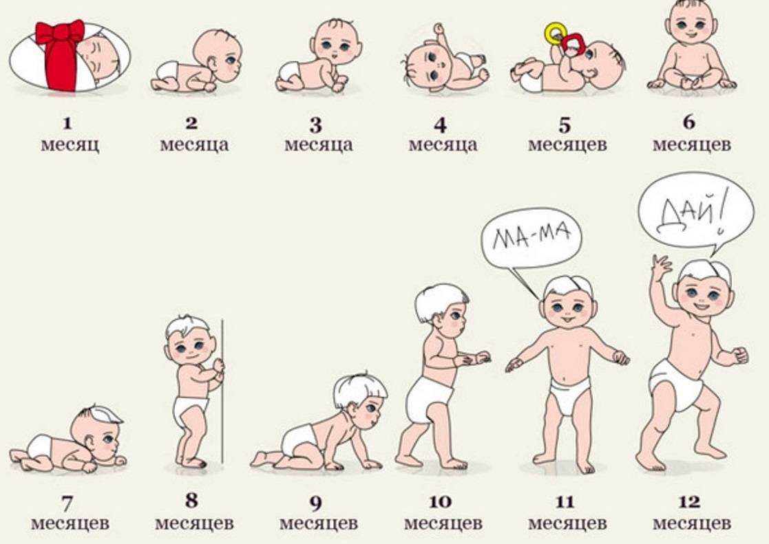 Календарь развития ребенка до года по месяцам