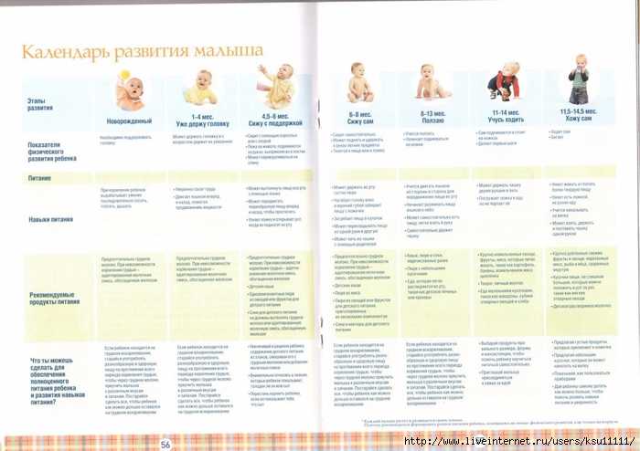 Календарь беременности. беременность по неделям и месяцам