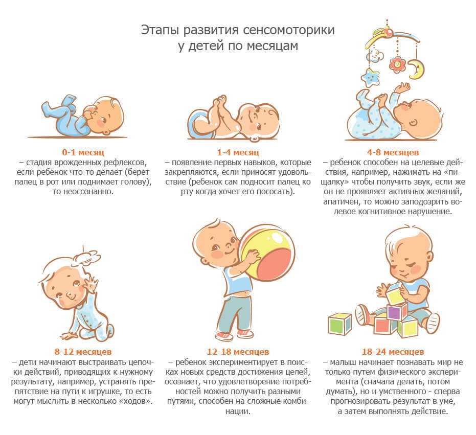 Что в 8 месяцев должен уметь ребенок, особенности физического и психологического развития