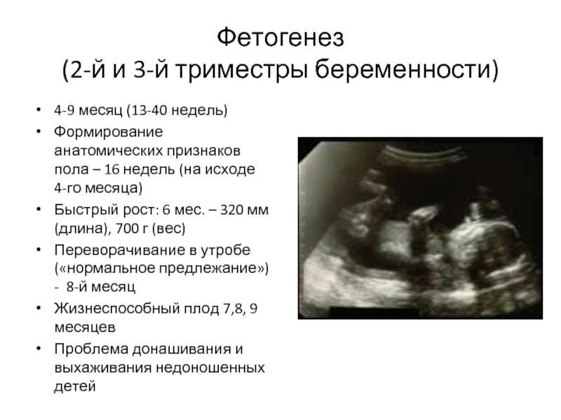 Первые признаки беременности, диагностика на ранних сроках