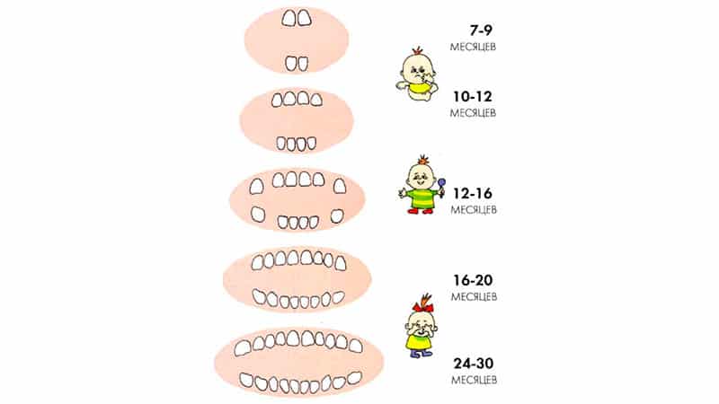 Прорезывание зубов у детей и грудничков
