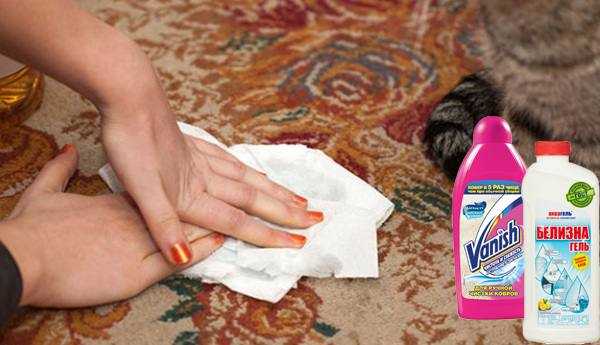 Как избавиться от запаха мочи на ковре? – детской, кошачьей и собачьей