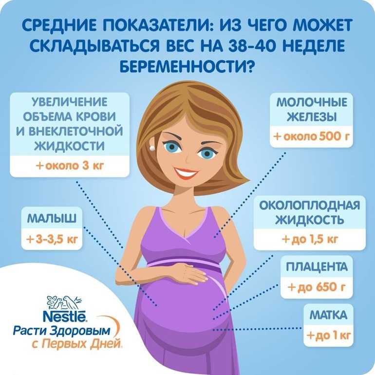 Вес при беременности. темпы прибавки в весе при беременности  | гинекология.инфо