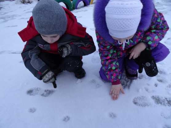Проведение прогулки в старшей группе по теме «снег, снег, снежок…»наблюдение за снегом