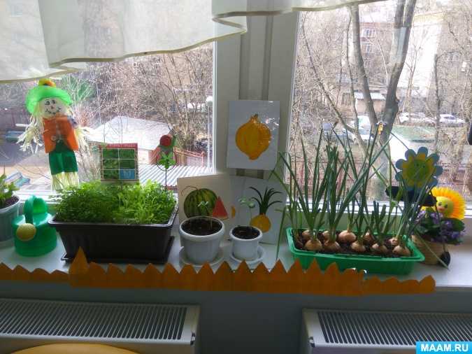 Проект «огород на окне» (вторая младшая группа). воспитателям детских садов, школьным учителям и педагогам - маам.ру