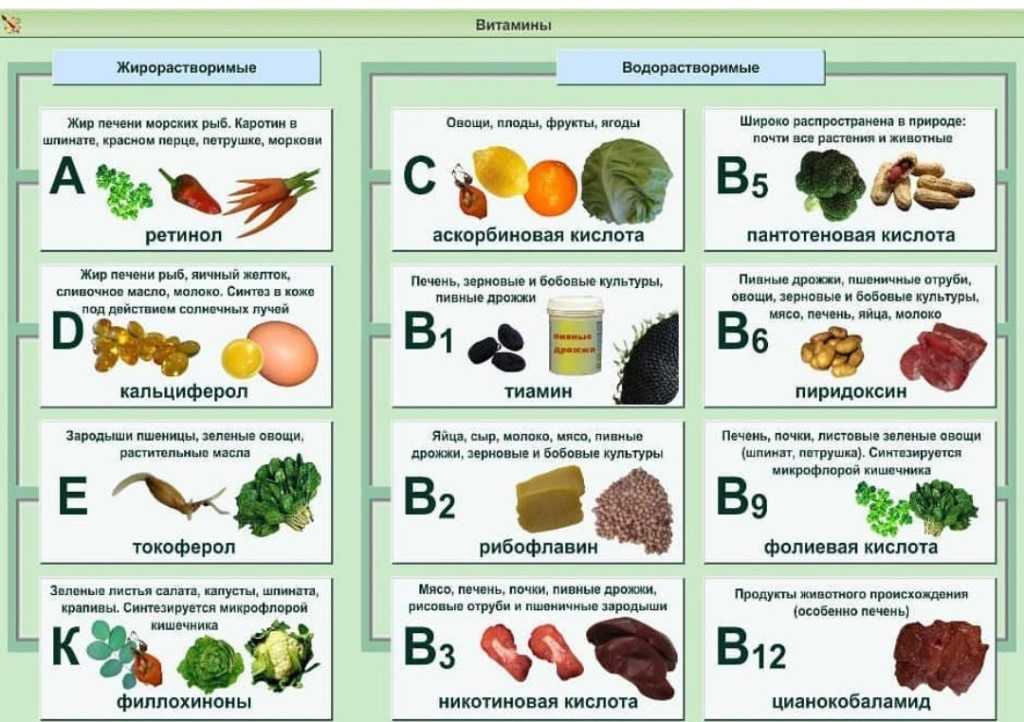 В каких продуктах содержатся витамины. краткая таблица содержания витаминов. список максимально полезных продуктов