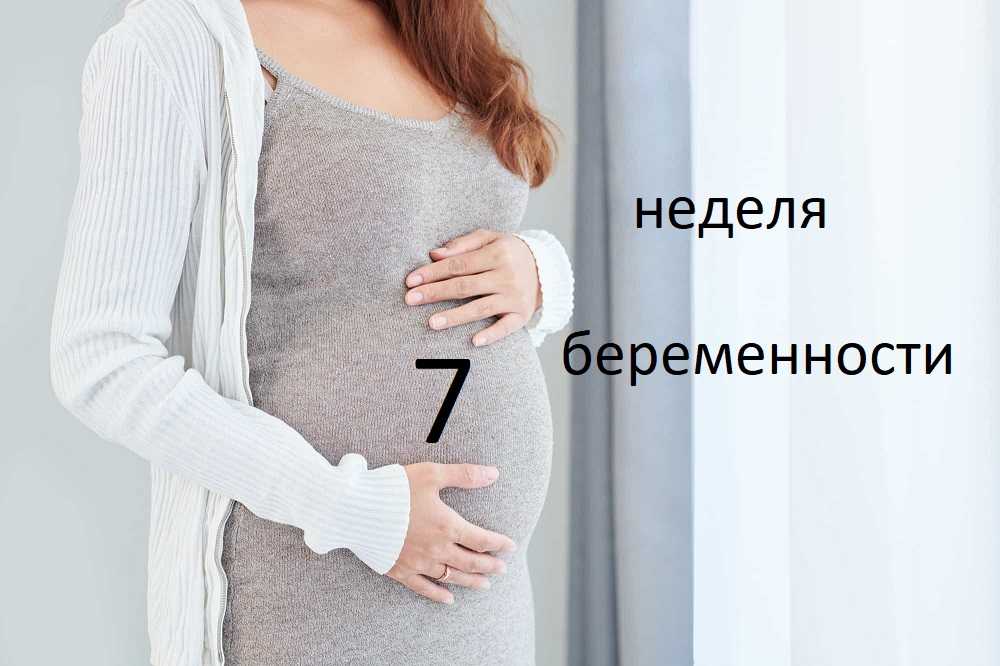 Ощущения на 5 неделе беременности, развитие плода, изменения в организме матери