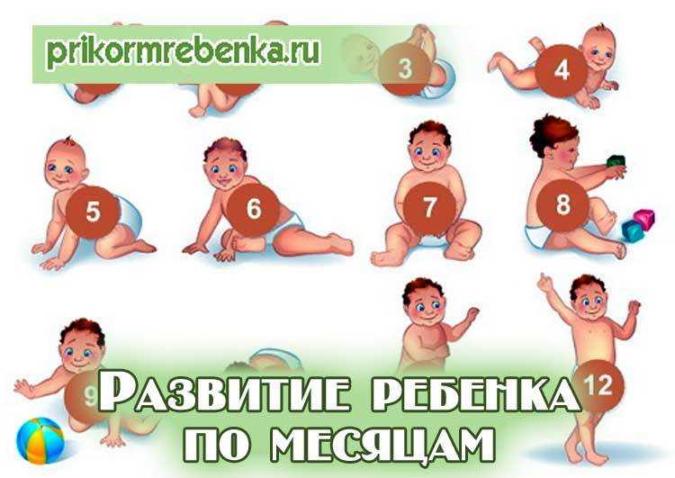 Ребенок 1 месяц. календарь развития