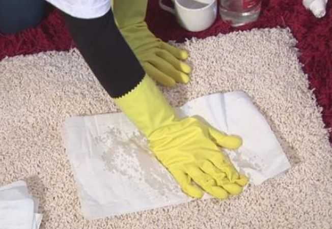 Как избавиться от запаха мочи на ковре в домашних условиях