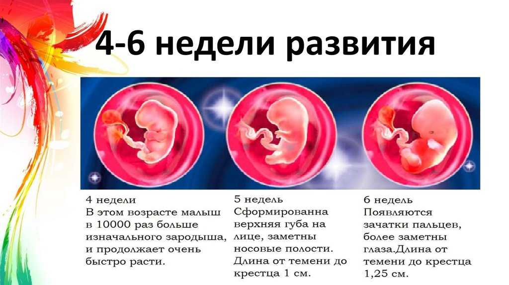 Развитие ребенка 7 недель в самом подробном календаре развития ребенка с рождения по неделям и месяцам на colady.ru. Как ухаживать за ребенком семи недель от роду – советы специалистов для мам