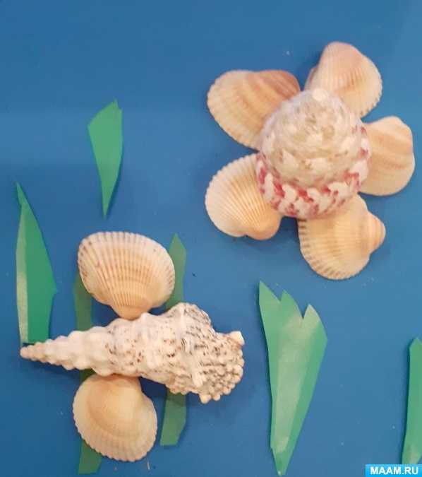 Поделки из морских ракушек своими руками: 95 фото идей и вариантов как сделать поделку на морскую тематику