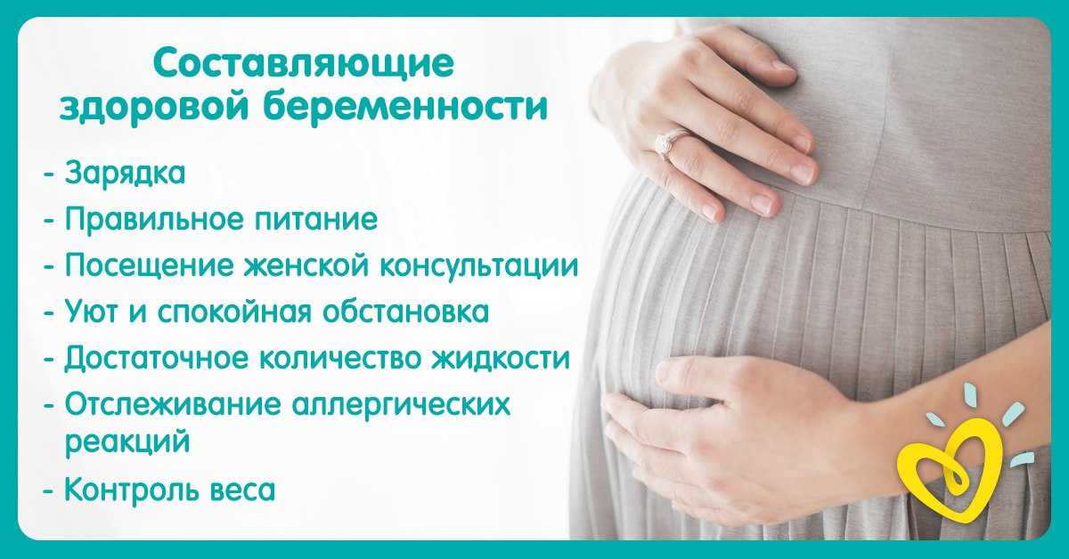 Беременность на 24 неделе: что происходит с малышом и мамой на этом сроке, как развивается плод, что чувствует женщина?