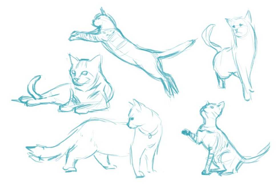 Научить детей рисовать животных помогут 40 картинок-инструкций, которые показывают поэтапно как просто нарисовать разных зверей, птиц, рыб. Скачайте картинки, как легко нарисовать животных с ребенком.