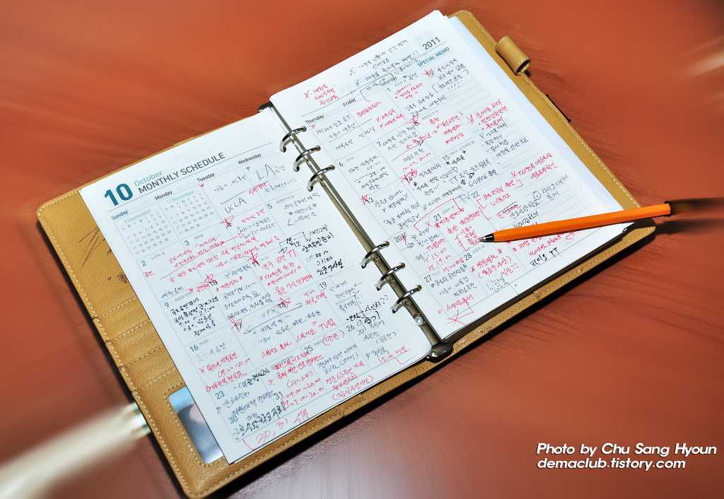 Дневник тренировок – шаблон для скачивания и особенности его заполнения