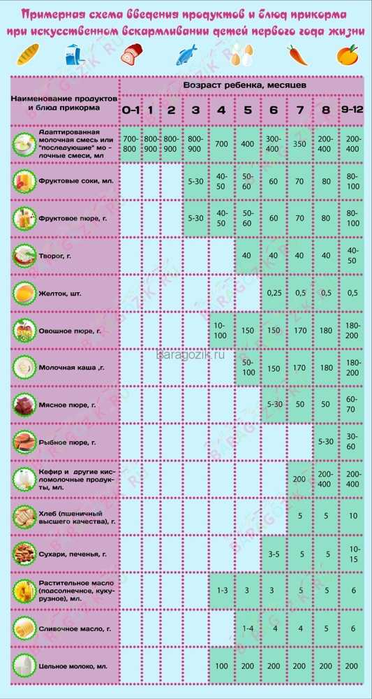Прикорм по месяцам: схема введения прикорма, таблица прикорма детей