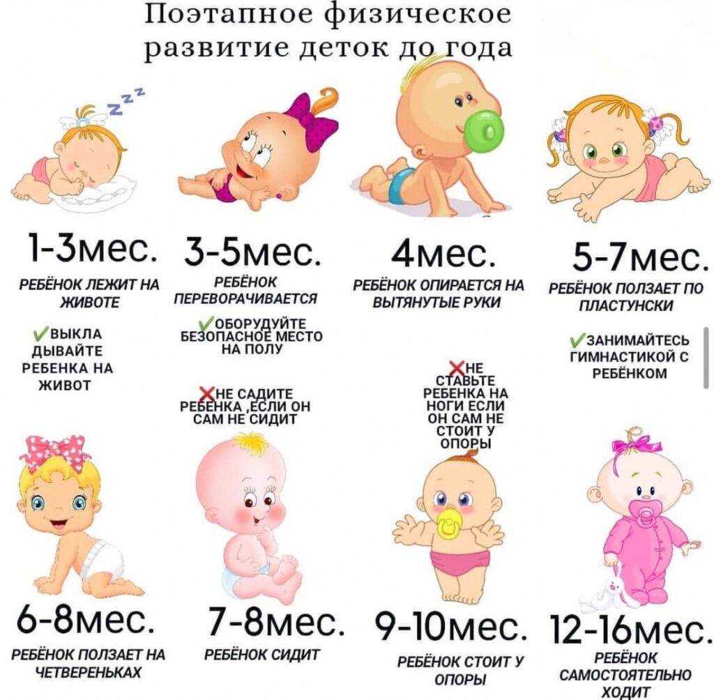 Календарь развития ребенка в 6 месяцев, что должен уметь