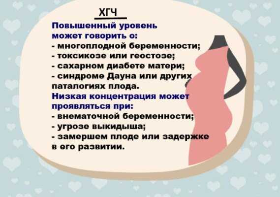 Вопросы и ответы: беременность двойней | pampers ru