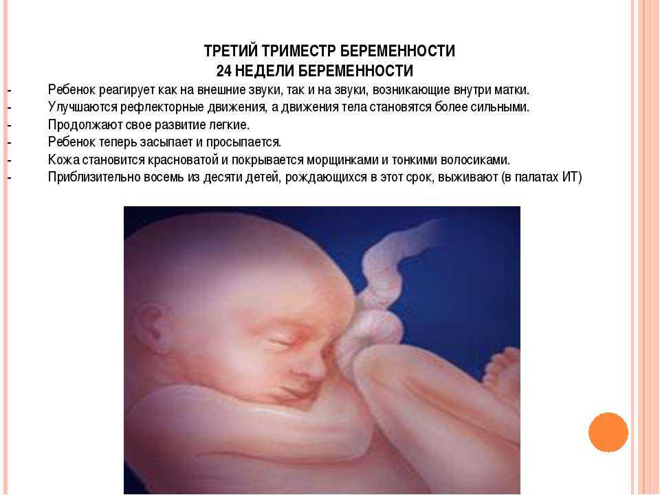 15 неделя беременности – что происходит, узи и развитие плода, вес ребенка и живот на пятнадцатой неделе беременности – agulife.ru - agulife.ru