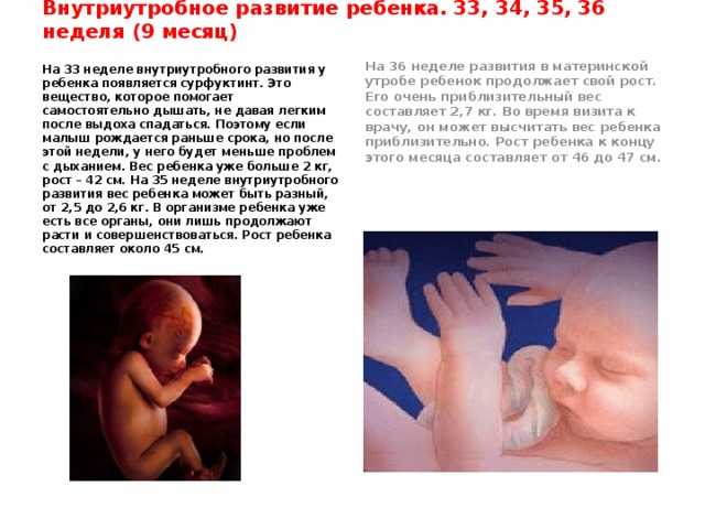 Развитие ребенка по месяцам в утробе - поликлиника №1 ран