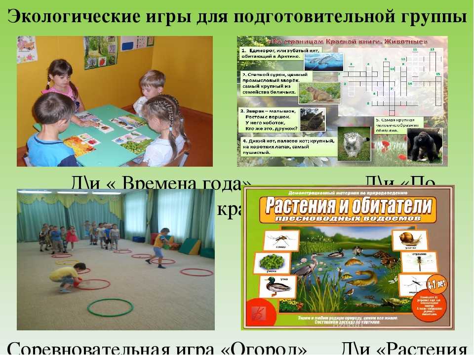 Презентация, доклад на тему экологические игры и упражнения для детей дошкольного возраста