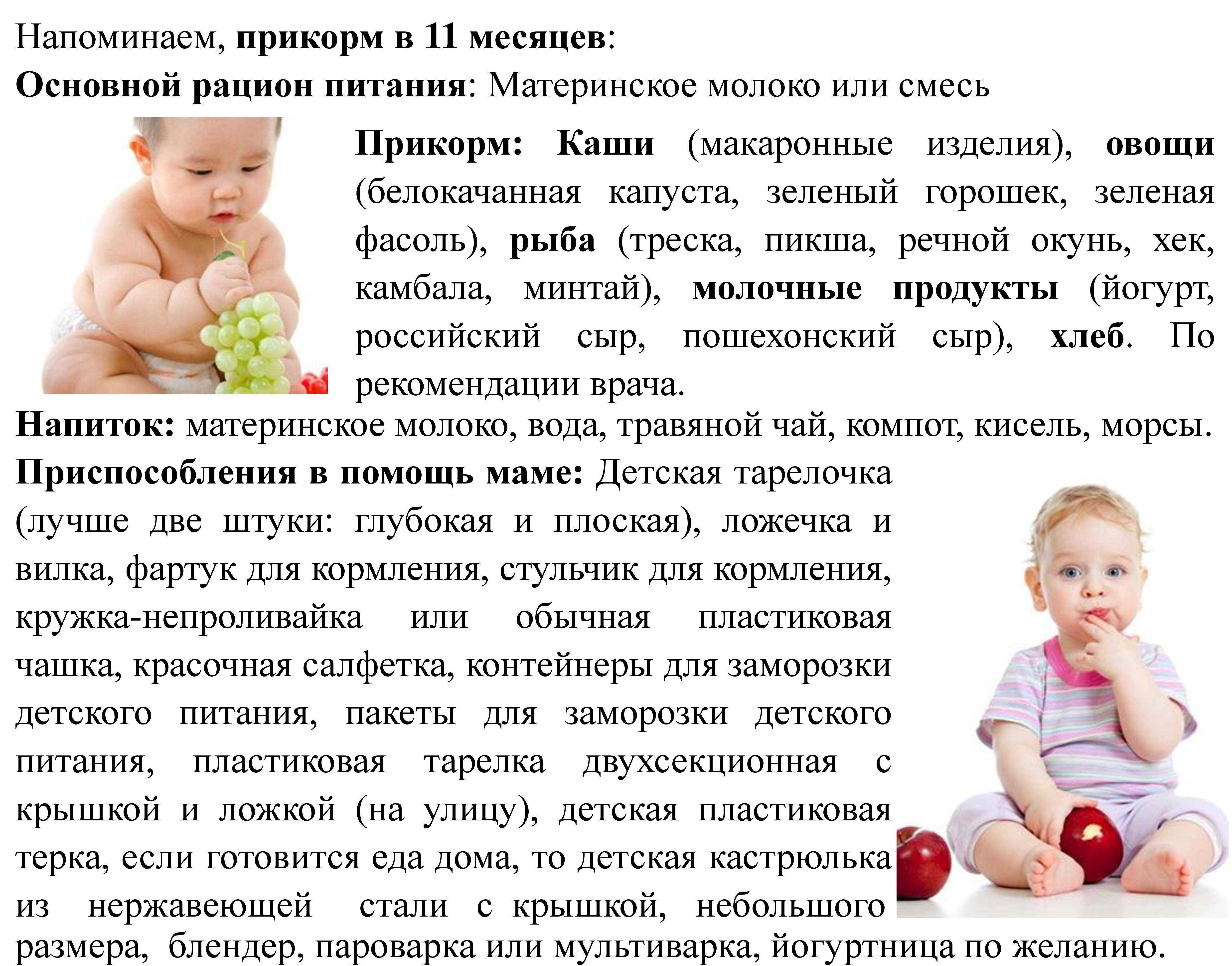 Меню ребенка в 8 месяцев: основа рациона и принципы питания