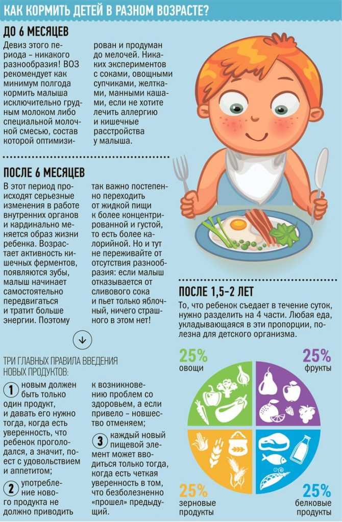 Нормы питания новорожденного и грудного ребенка: кормление по месяцам