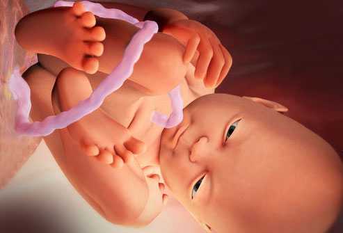 36 неделя беременности развитие и фото — евромедклиник24