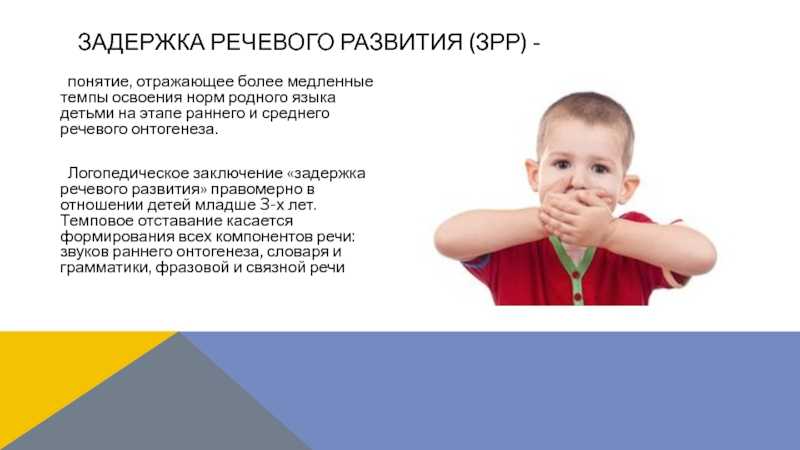 Ребенок не говорит в 2 года. к какому специалисту обращаться? нормы развития речи