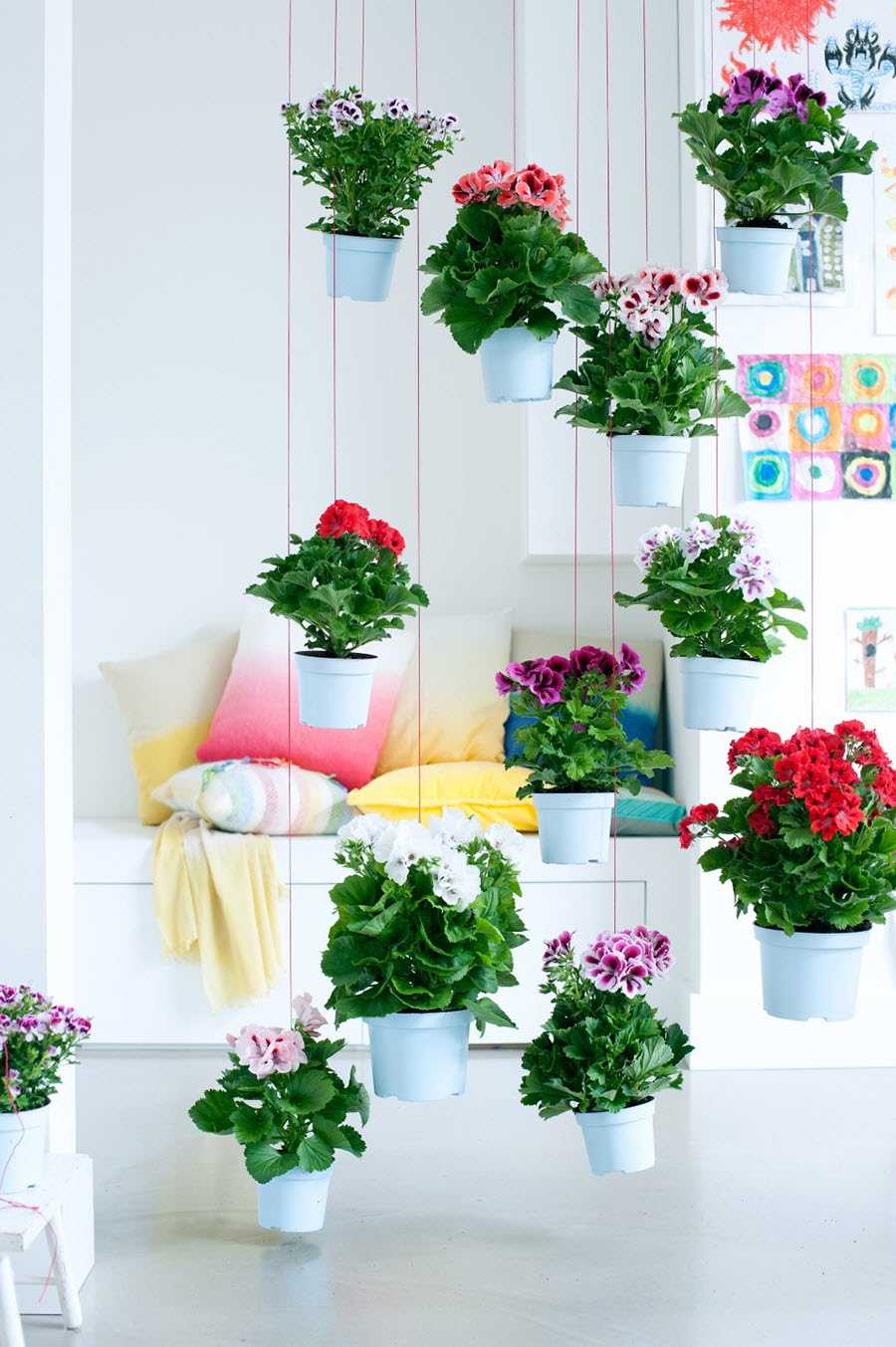 Как выбрать комнатные цветы для детской комнаты