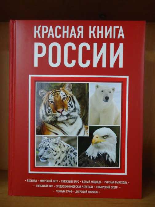 Проект "красная книга россии" для 4 класса