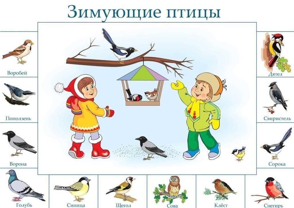 Конспект логопедического занятия
по лексической теме «зимующие птицы»
для детей 6-7 лет с нарушениями речи | коррекционная работа в доу  | современный урок