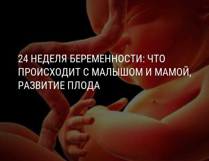 26 неделя беременности – что происходит, узи и развитие плода, живот на двадцать шестой неделе беременности - agulife.ru