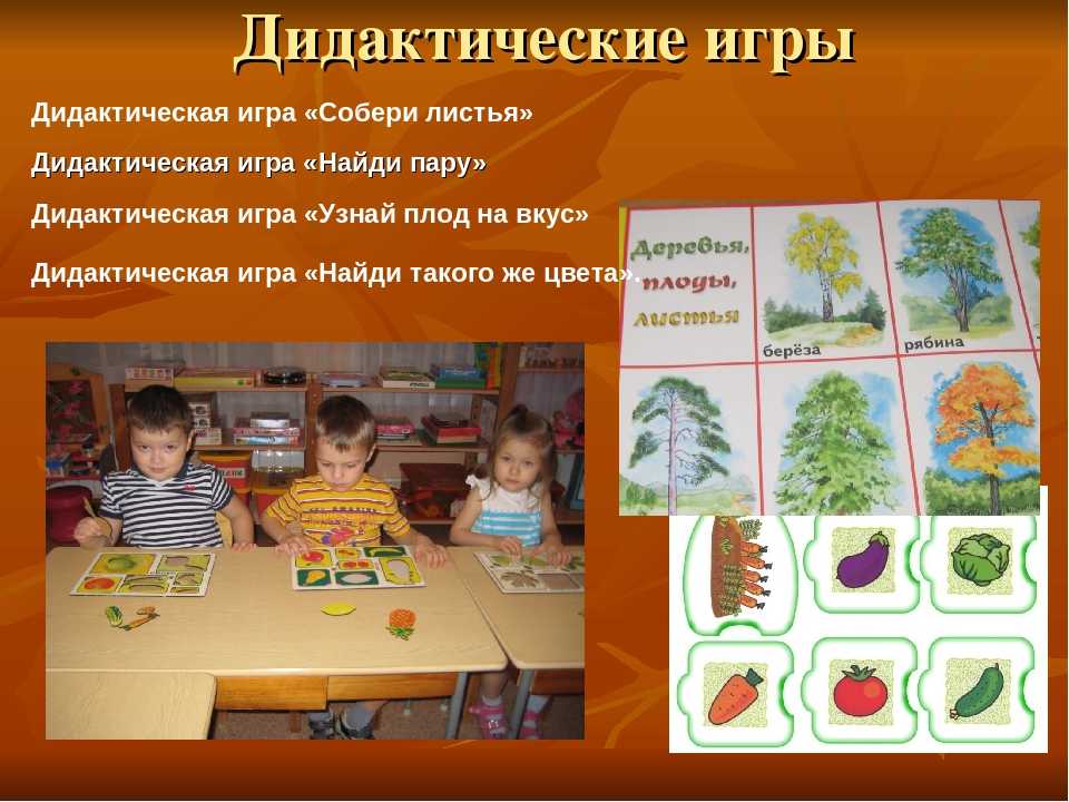 Дидактические игры для детей от 4 лет на тему: «деревья и кустарники»