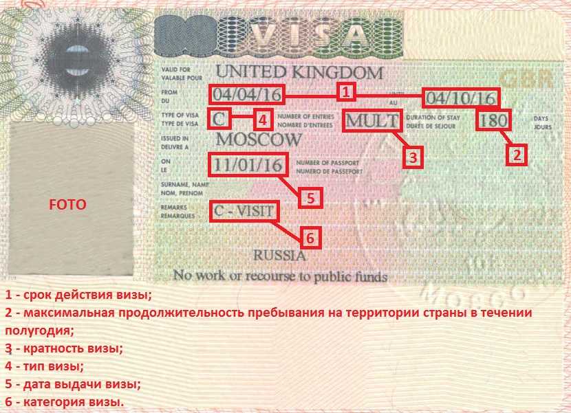 Шенгенская виза для ребенка: как сделать и сколько стоит