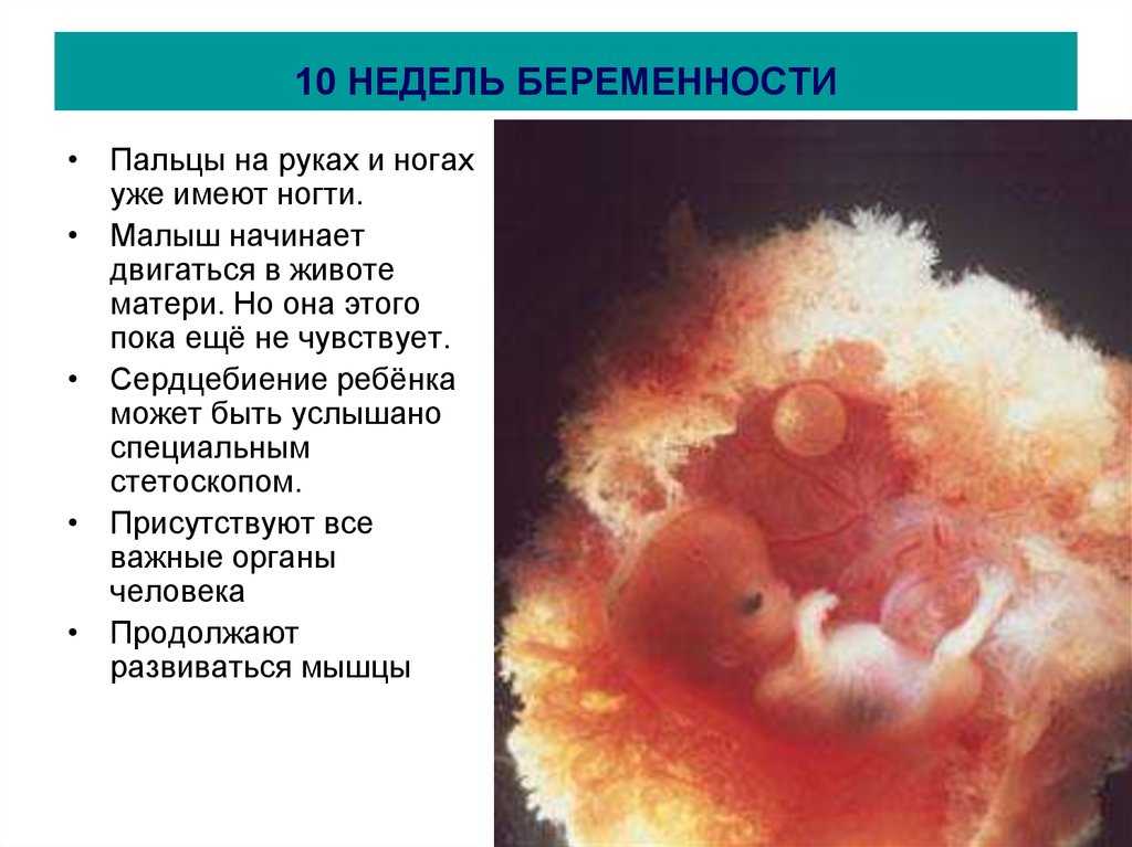 Первый триместр беременности: что нужно знать женщине