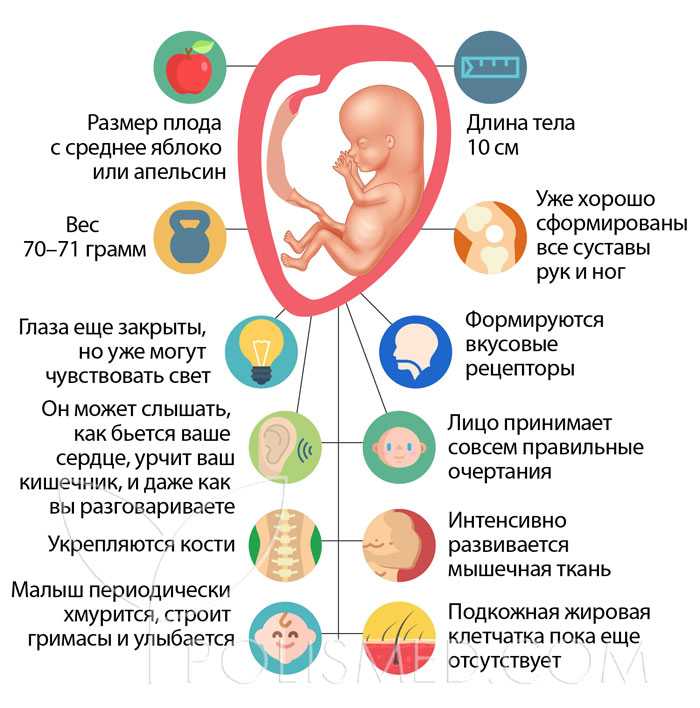 При недостаточном поступлении витаминов у беременной женщины может развиться авитаминоз,что вызывает осложнения в ходе беременности:аномалиям развития плода, выкидышу и преждевременным родам.