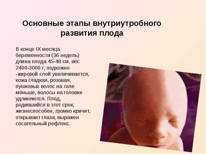 Внематочная беременность — признаки на ранних сроках, первые проявления