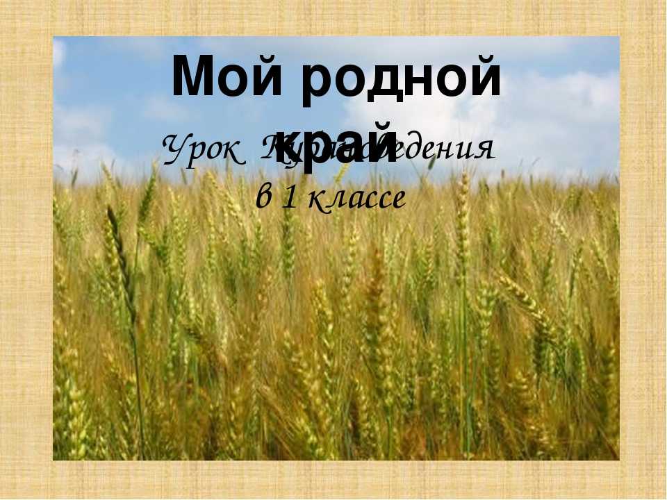 Кубань мой край родной проект