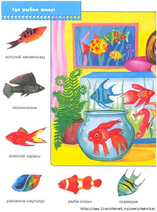 Конспект занятия по аппликации в средней группе «разноцветные рыбки». воспитателям детских садов, школьным учителям и педагогам - маам.ру