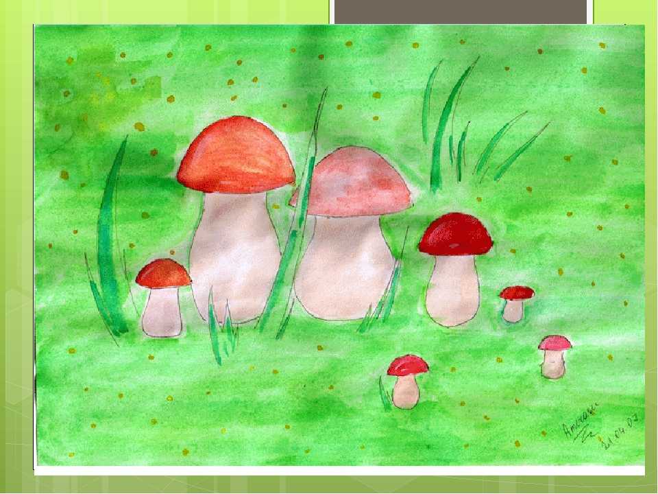 Конспект занятия по рисованию «грибы» для детей средней группы